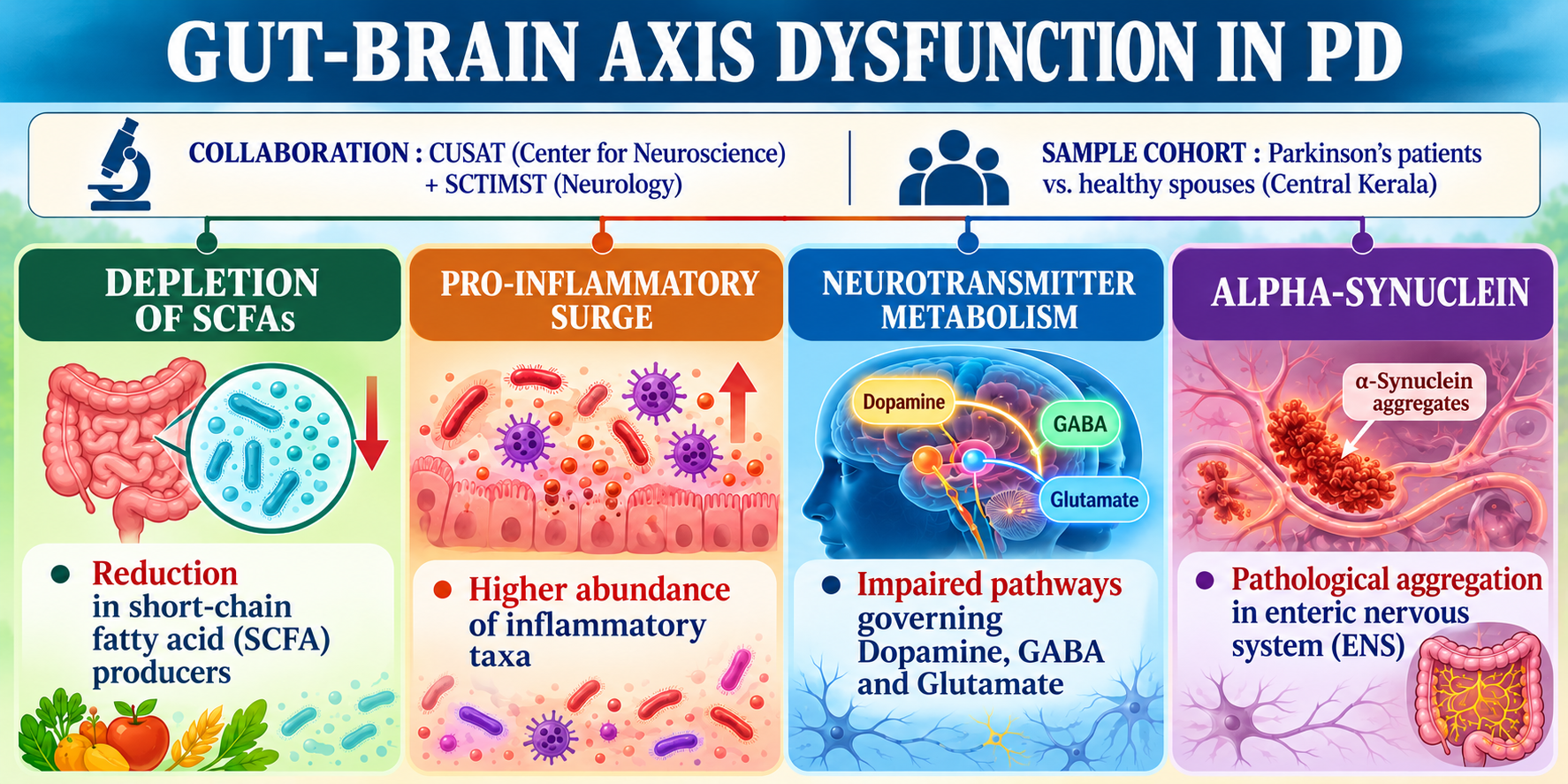 Gut Microbiome Alterations in Parkinson’s Patients