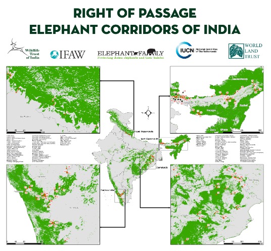 3 new elephant corridors in Tamilnadu