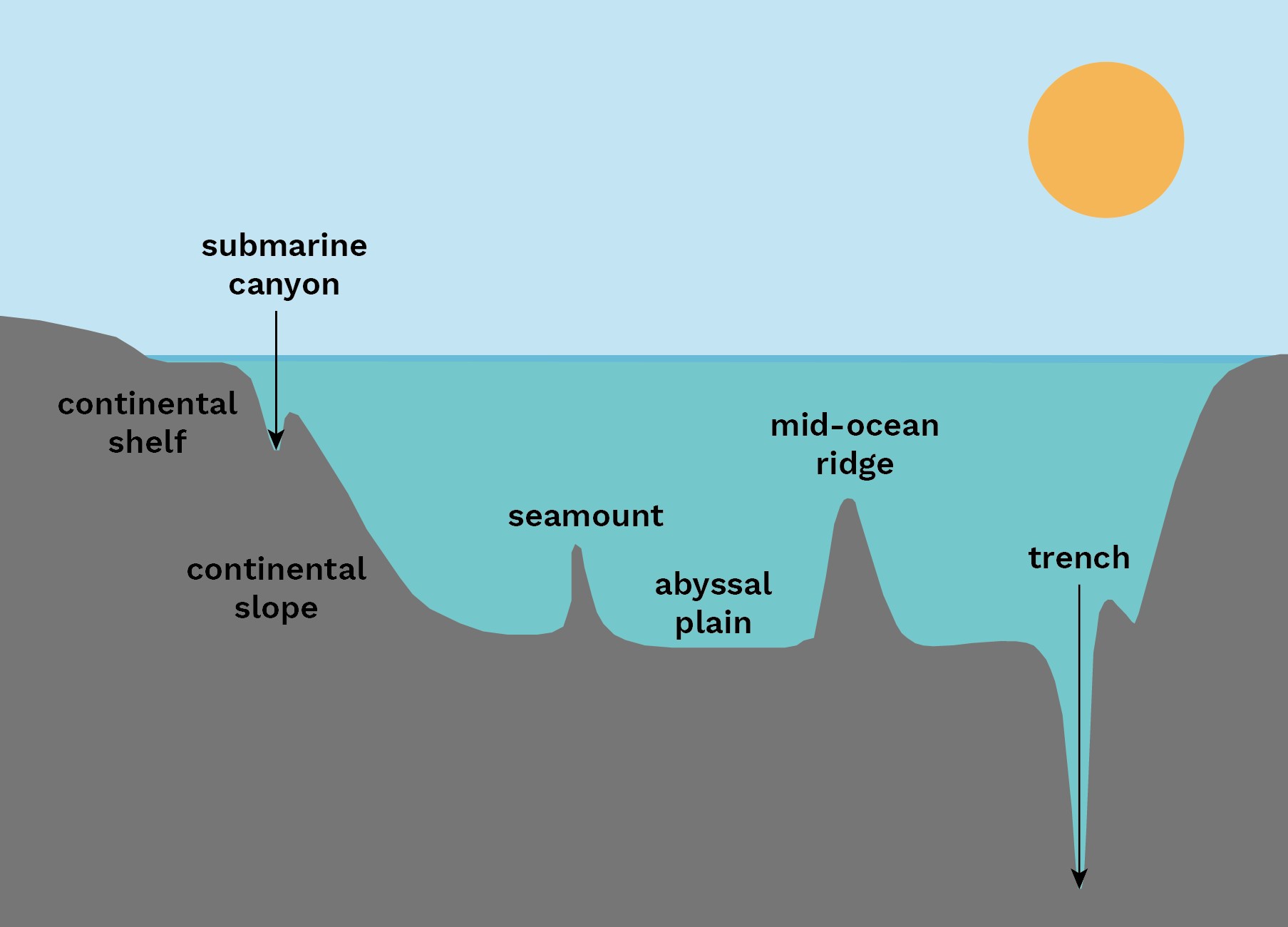Abyssal Plain and Seamount