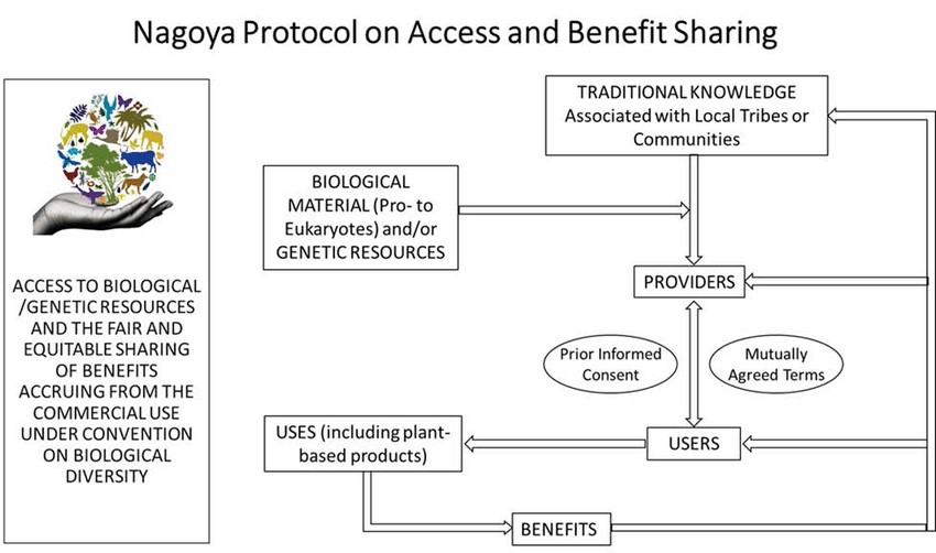 Access and Benefit Sharing (ABS)