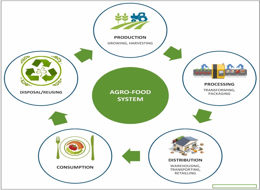 Agri foods 1