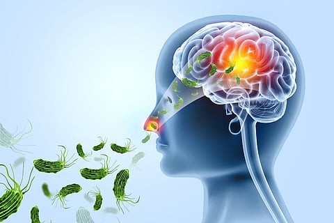 Amoebic Meningoencephalitis
