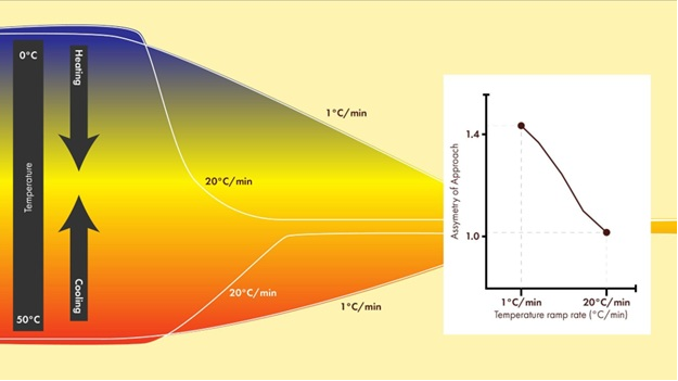 Temperature Shock-Induced Recovery in Jammed Microgels