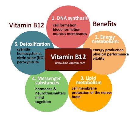 Vitamin B12 Benefits