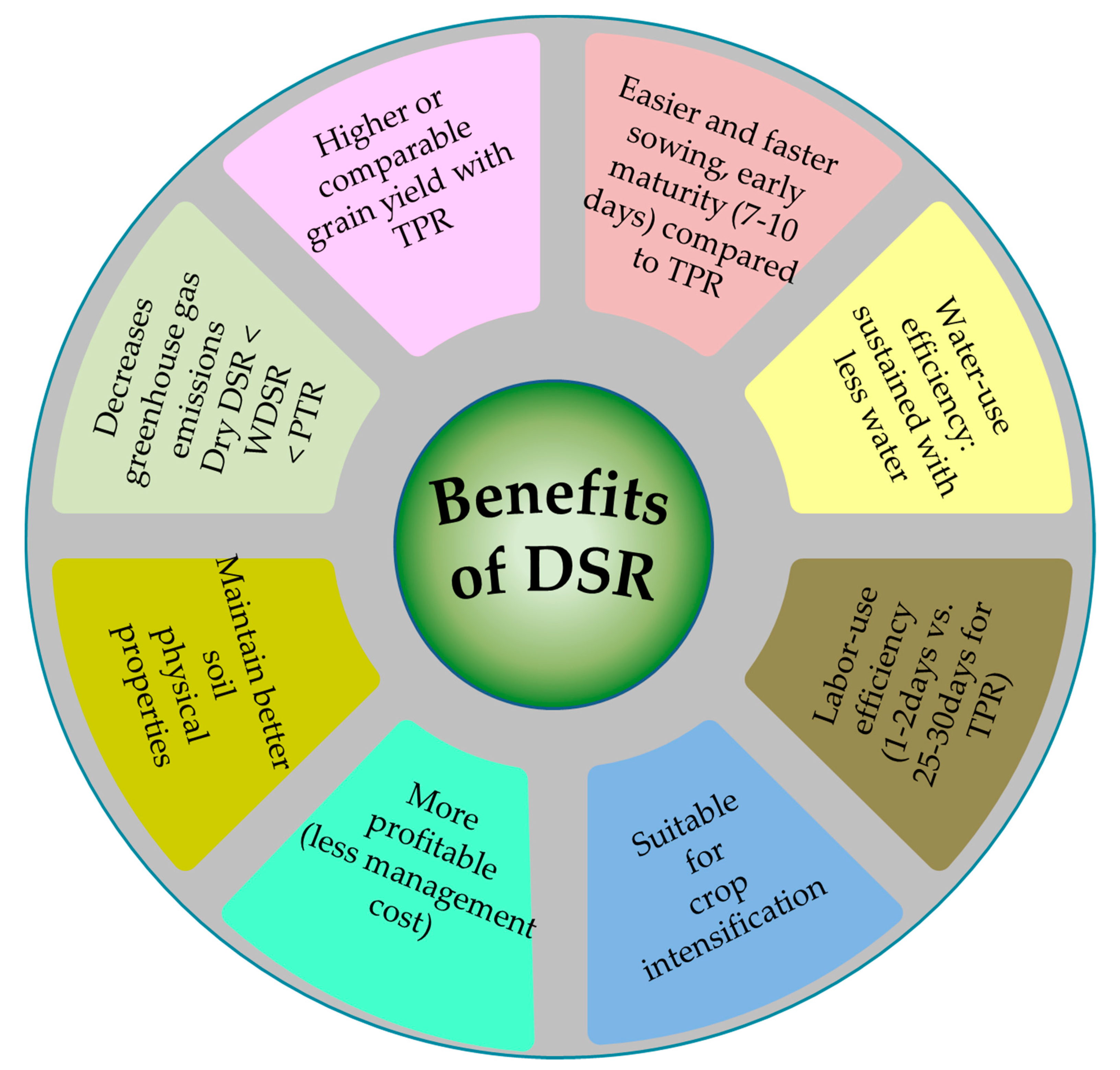 DSRBenefits