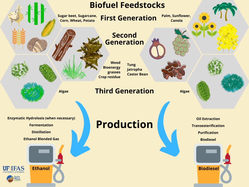BIO FUELS