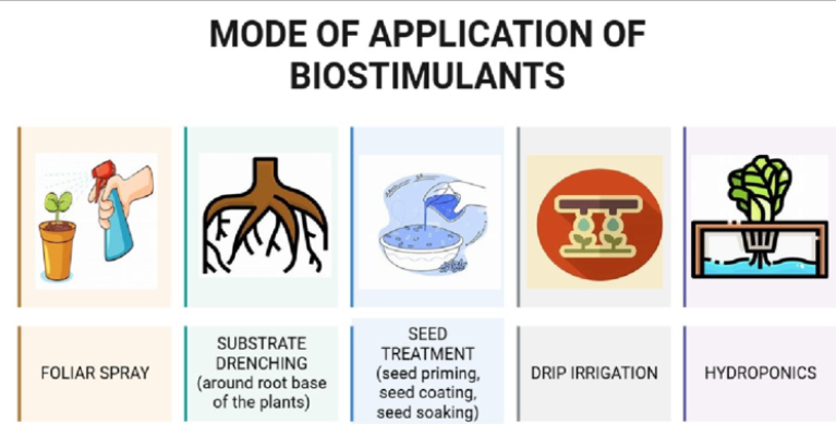 Bio stimulants 1