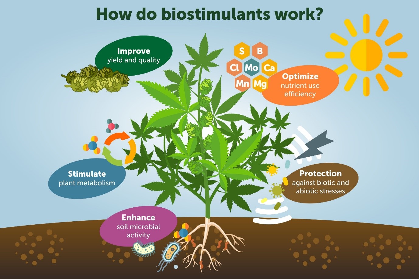 Bio stimulants 2