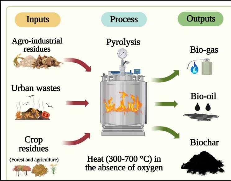 Biochar 1