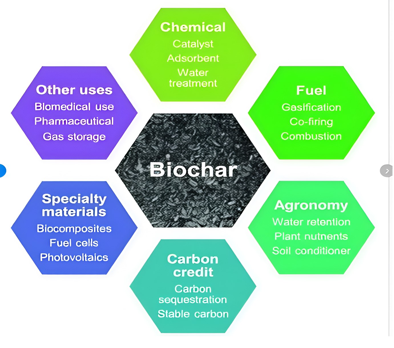 Biochar 2