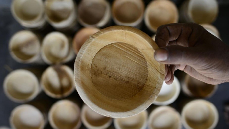 Biodegradable Dinnerware Made from Areca Leaf Sheath