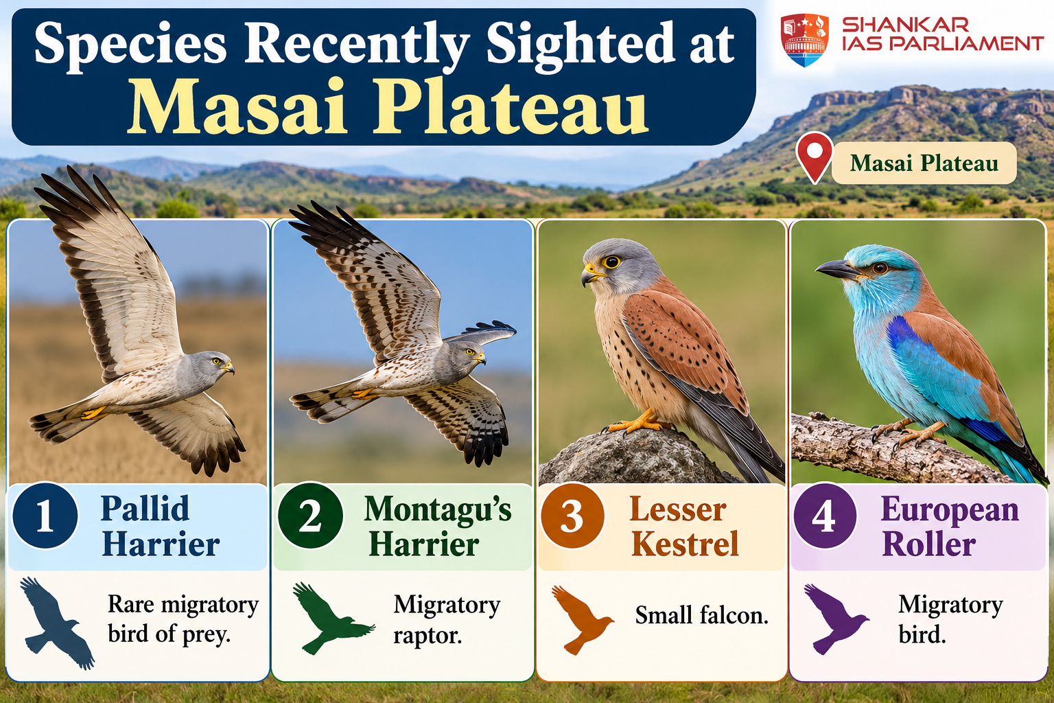 bird-species-of-masai-plateau.png