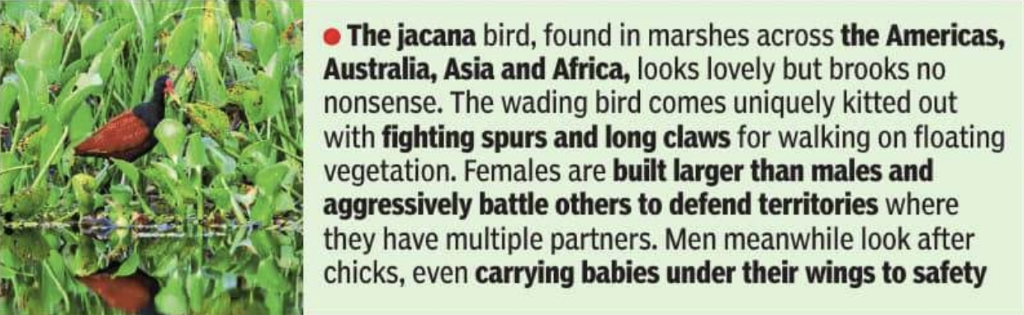 jdafvererobbwkdfvejf