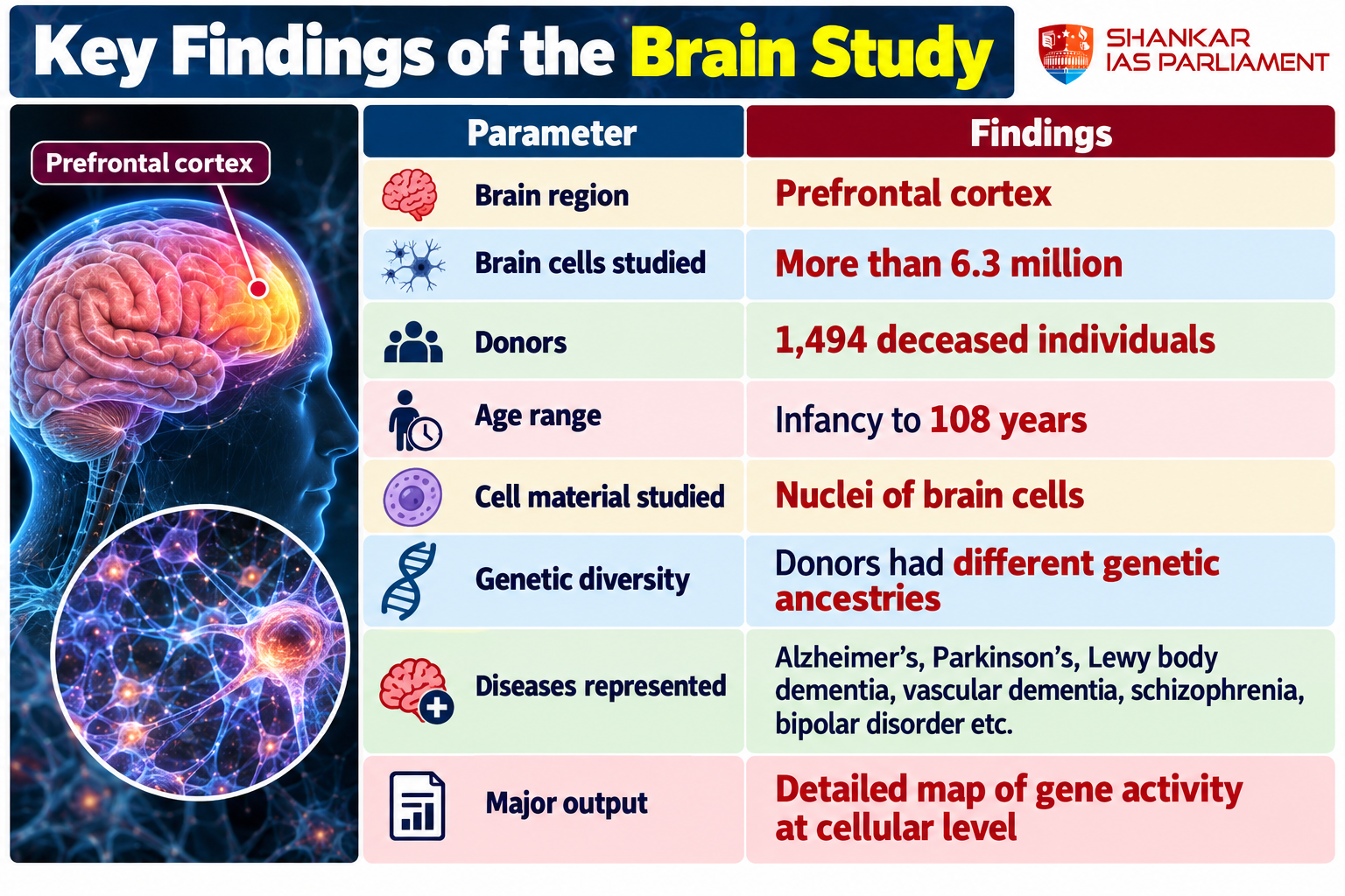 brain study upsc 2026