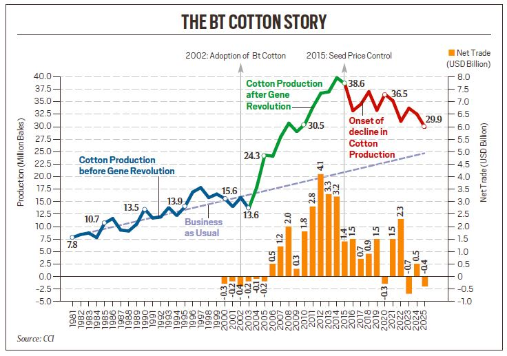 bt cotton