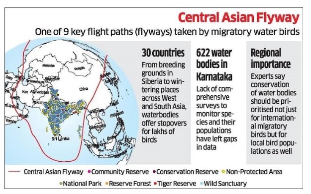 Central Asian Flyway (CAF) Digital Hub 