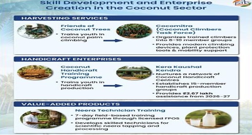 Coconut Park in Kerala
