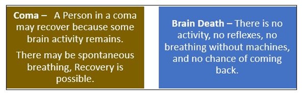 Coma vs Brain Death