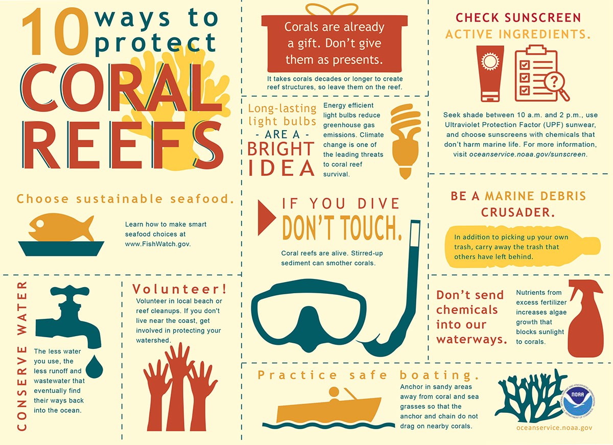 Coral reefs