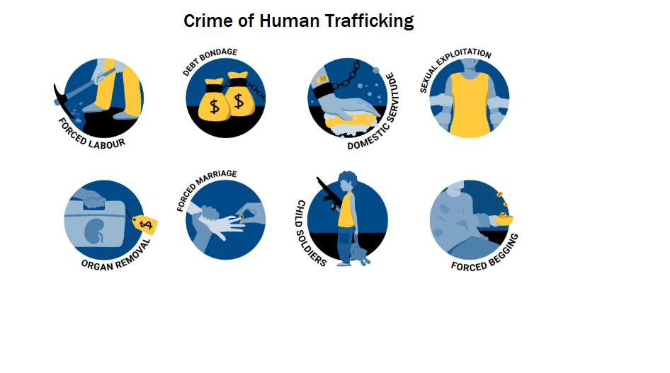 Crime Index
