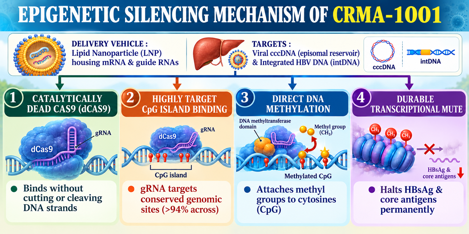 CRMA-1001