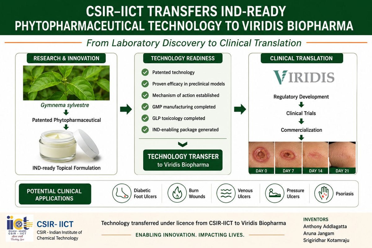 plant based drug for curing ulcers