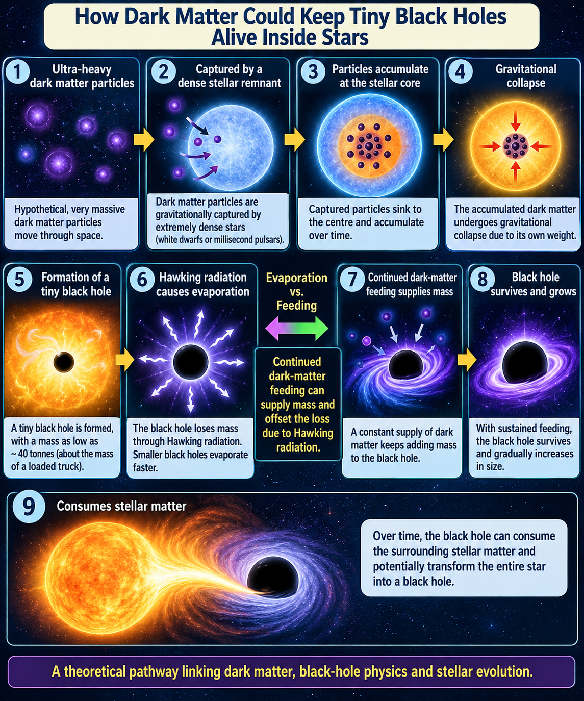 Dark Matter and Black Holes