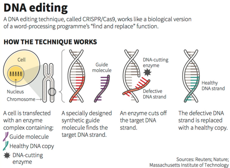 DNA editing