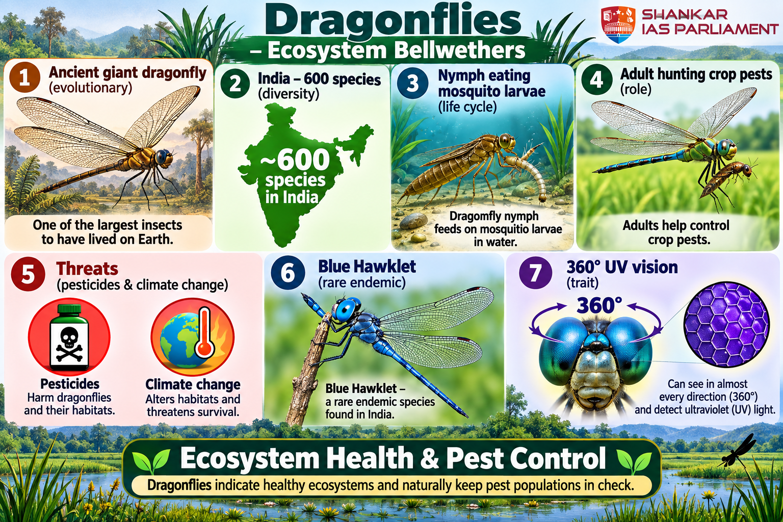 dragon fly upsc 2026