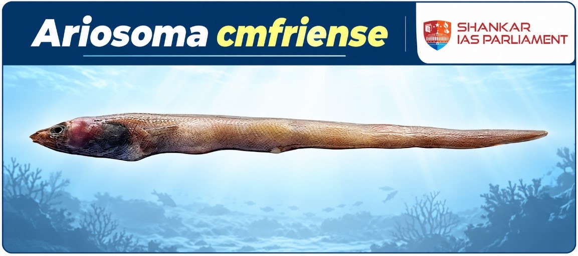 new eel species.upsc