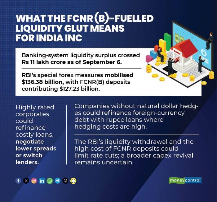 FCNRB liquidity.upsc
