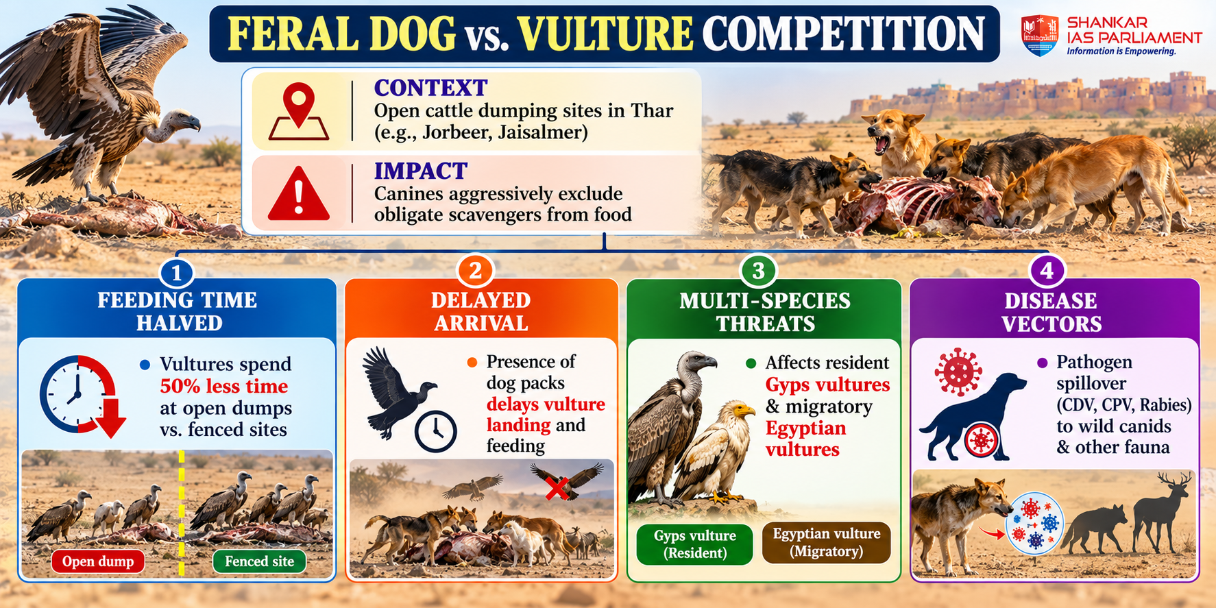 Feral Dogs Vs Vultures