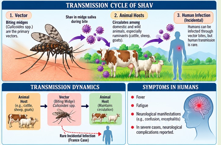 First Human Case of Shamonda Virus
