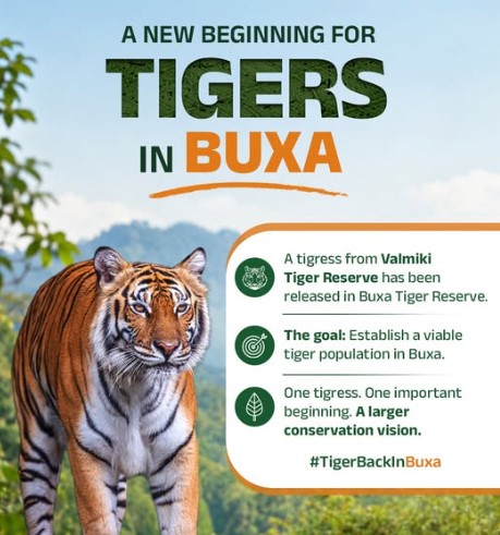 First Tigress in Buxa Tiger Reserve