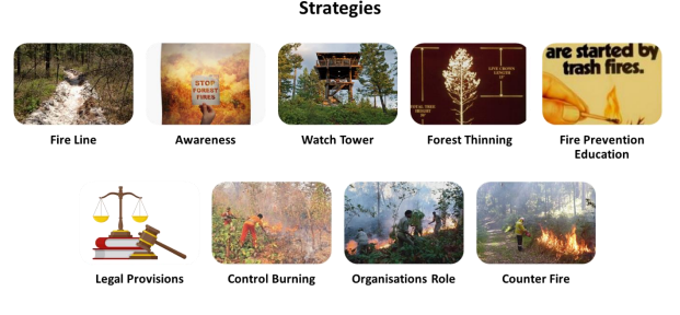 ManageForestFire