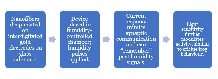 Frog-Inspired Humidity-Responsive Brain Sensor