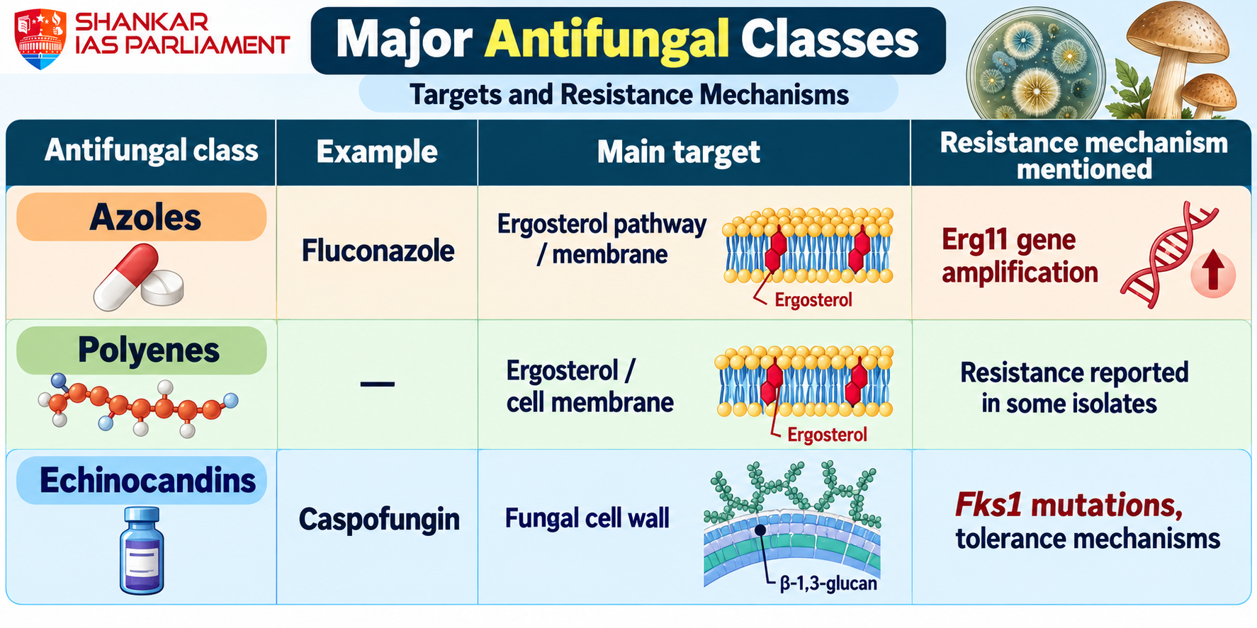 fungai antifungal resistance upsc 2026