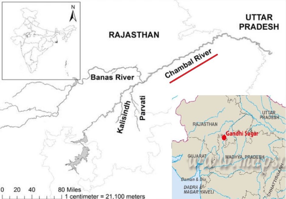 Gandhi sagar wildlife sanctuary