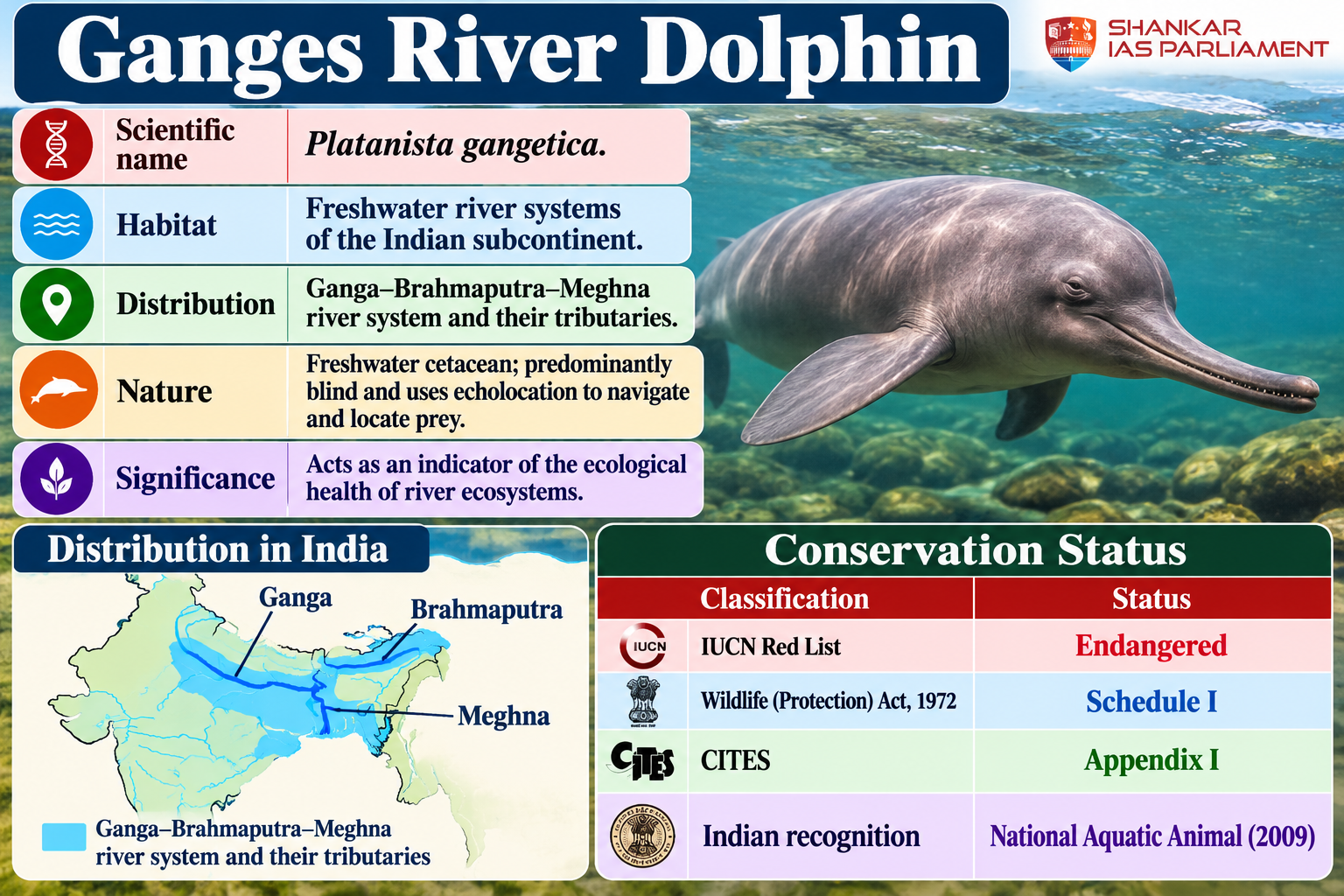 https://www.shankariasparliament.com/uploads/files/ganges-river-dolphin-conservation-infographic.png