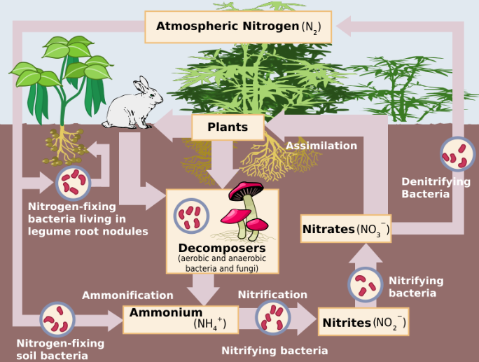 GHG Nitrogen