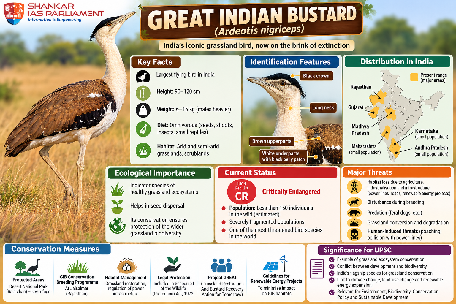 Great Indian Bustard Rewilding project