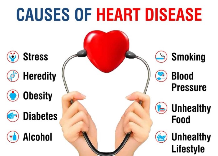 Heart 1