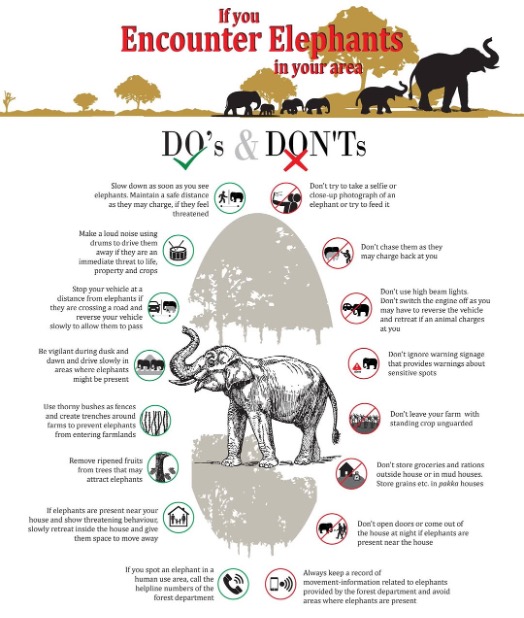 High‑Risk Human‑Elephant Conflict (HEC) Areas in Southern Africa