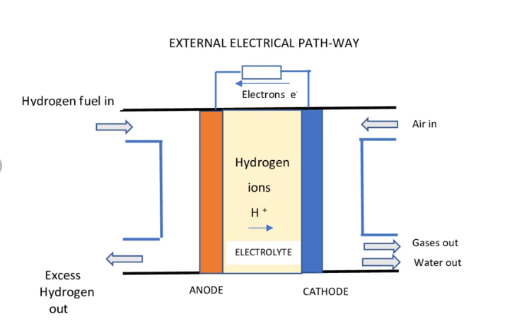 Hydrogen Fuel Cell