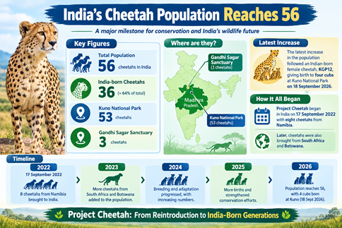 India’s cheetah population in 56