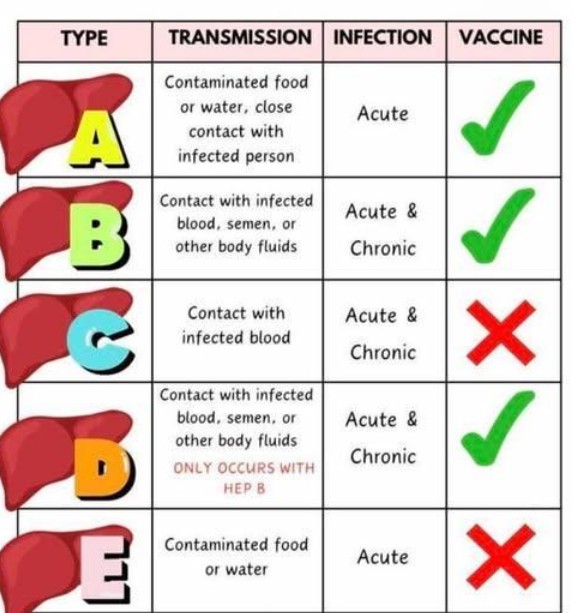 India’s Commitment to Eliminate Viral Hepatitis