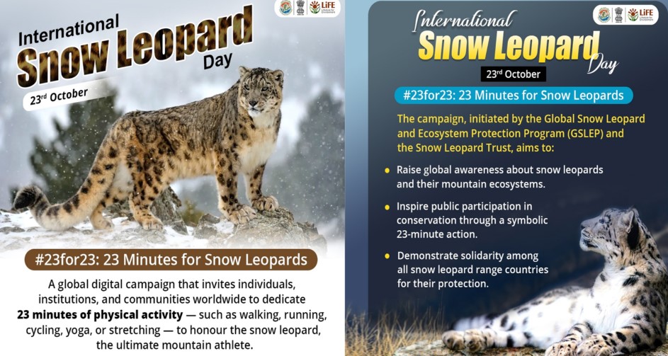 International Day of the Snow Leopard 2026