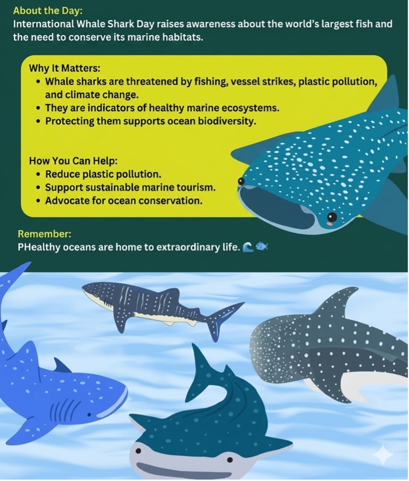 International Whale Shark Day 2026