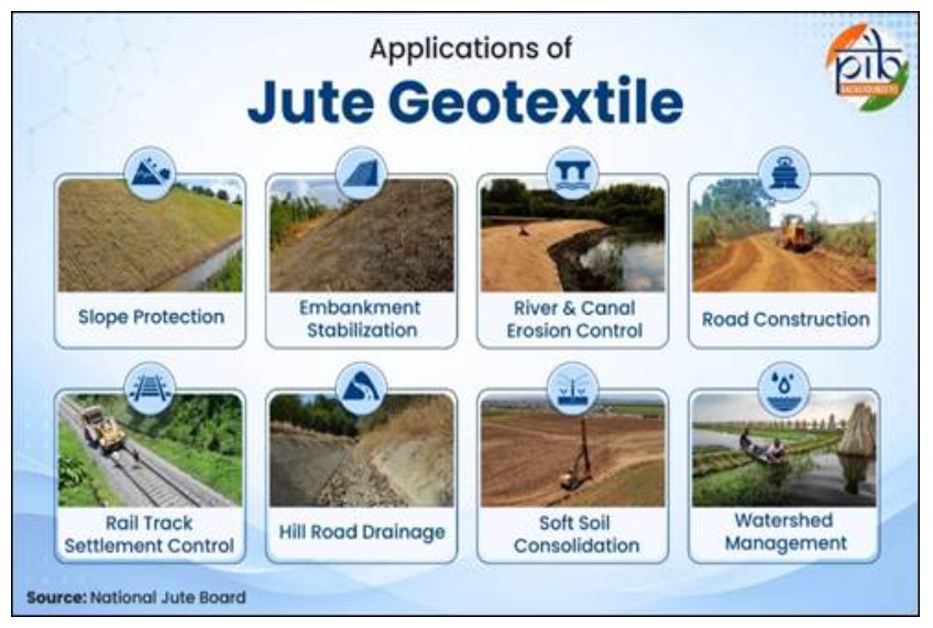 Jute 2