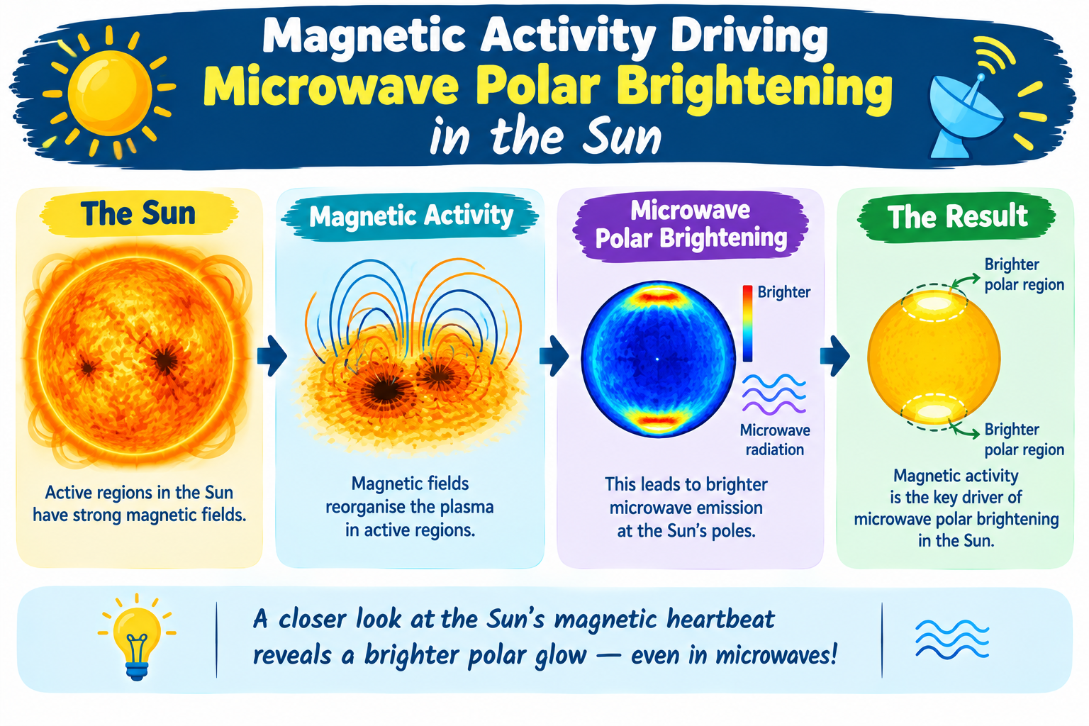Magnetic Activity Driving Microwave Polar Brightening in the Sun